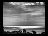 2024-11-13-Gerard-Weber-05