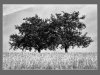 2024-11-13-Gerard-Weber-07