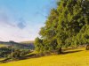 Heuvels van Yorkshire