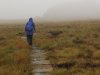 Heuvels van Yorkshire
